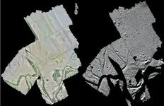 Knowing where to dig.webp