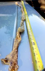 20200610_201815.webp