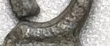 Screen Shot 2021-06-12 at 8.24.55 PM.webp