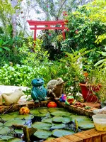 20180630_125016_HDR-EFFECTS.webp