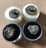 Coin Button 2.webp