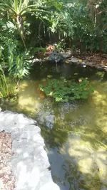 20170603_142651.webp