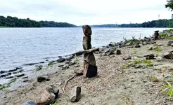 DSCN4211.webp
