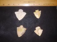 20210613_092702.webp