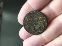 coin2.webp