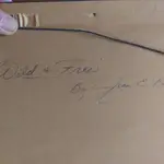 bales3.webp