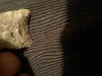 20210613_123050.webp
