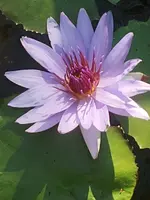 20210429_180840.webp