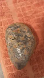 rock.webp