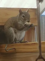 20210416_183423.webp
