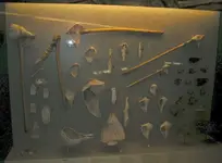 DSCN0546.webp