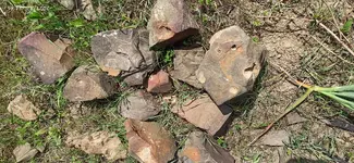 IMG_20210407_144650.webp