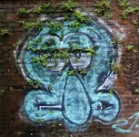 DSCN4483.webp