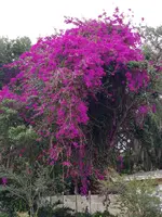 20190419_082157_HDR.webp