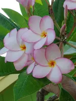 20191020_085022.webp
