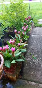 20210725_202736.webp