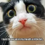 mouth.webp