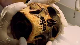 skull.webp