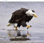 123572369_450636485899267_6036312673333613220_n.webp