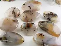 dendritic agate.webp