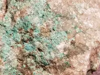 20210508_201742.webp
