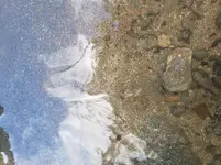 20210509_093512.webp