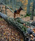 20201023_203241.webp