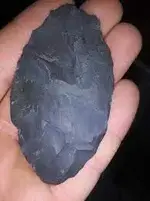 esopus chert ny.webp