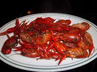 005.webp