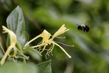 IMG_4449_2400.webp