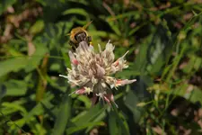 IMG_4391_2400.webp