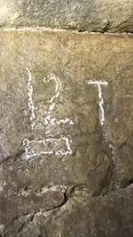 carving.webp