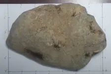 Stone-Top-4Scale.webp Stone-Top-4Scale.webp