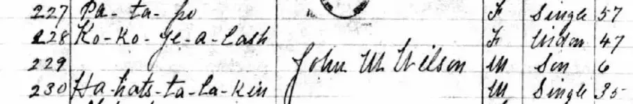 KO KO A YE LAS JOHN M  WILSON 1894 ROLL IN 1885 -1940 INDIAN CENSUS ROLES..webp