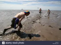 MudTrudgingBNCT00.webp