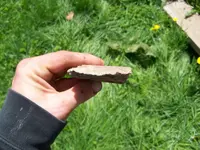 100_0542.webp
