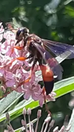 Screenshot_20210727-132933_Gallery.webp