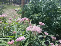 20210727_132410.webp
