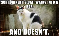 Schrodingerbar.webp