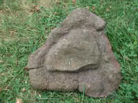 DSCF9347.webp