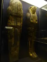 43296386392_e2bc9d46c6_k.webp