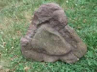 DSCF9346.webp