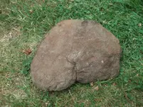 DSCF9350.webp