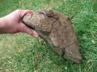 DSCF9353.webp