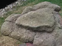 DSCF9355.webp