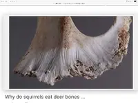 0C7CC4CD-5D4F-4A61-B0C4-58DB39A6A02F.webp