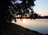 K1600_DSCN4249.webp