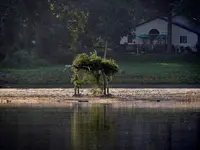 K1024_DSCN4259.webp