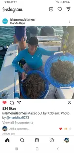 Screenshot_20210728-094836_Instagram.webp