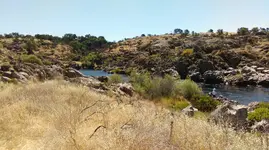 IMAG0502.webp IMAG0502.webp